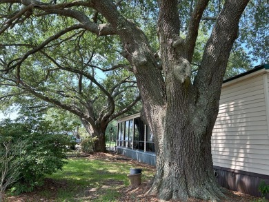 Lake Marion unobstructed Waterfront without the price tag! on Foxboro Golf Club in South Carolina - for sale on GolfHomes.com, golf home, golf lot