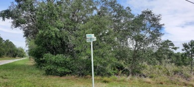 Come build your forever home on this one-half acre lot that on Indian Lake Estates Golf and Country Club in Florida - for sale on GolfHomes.com, golf home, golf lot