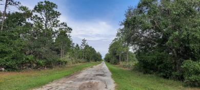 Come build your forever home on this one-half acre lot that on Indian Lake Estates Golf and Country Club in Florida - for sale on GolfHomes.com, golf home, golf lot