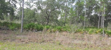 Come build your forever home on this one-half acre lot that on Indian Lake Estates Golf and Country Club in Florida - for sale on GolfHomes.com, golf home, golf lot