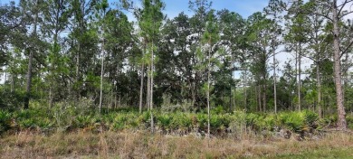 Come build your forever home on this one-half acre lot that on Indian Lake Estates Golf and Country Club in Florida - for sale on GolfHomes.com, golf home, golf lot