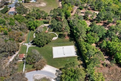 This MAINTENANCE FREE 3 Bedroom / 2 Bath /2 Car Garage Home is on Skyview At Terra Vista Golf and Country Club in Florida - for sale on GolfHomes.com, golf home, golf lot