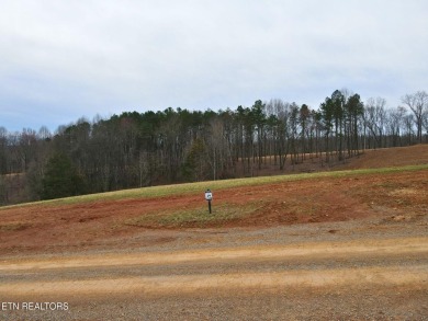 Enjoy privacy, breathtaking views, and resort-style living in on Tennessee National Golf Club in Tennessee - for sale on GolfHomes.com, golf home, golf lot