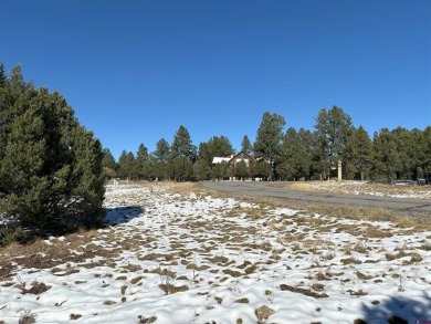 Don Bailey, Berkshire Hathaway HomeServices Colorado Properties on The Divide Ranch and Club in Colorado - for sale on GolfHomes.com, golf home, golf lot