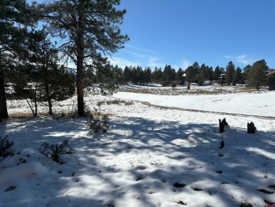 Don Bailey, Berkshire Hathaway HomeServices Colorado Properties on The Divide Ranch and Club in Colorado - for sale on GolfHomes.com, golf home, golf lot