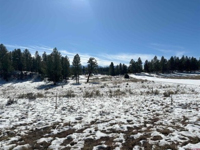 Don Bailey, Berkshire Hathaway HomeServices Colorado Properties on The Divide Ranch and Club in Colorado - for sale on GolfHomes.com, golf home, golf lot