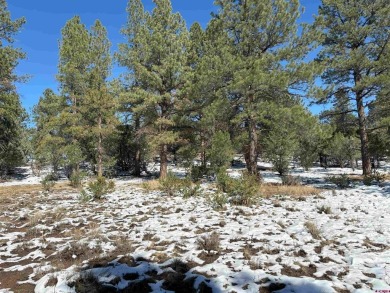 Don Bailey, Berkshire Hathaway HomeServices Colorado Properties on The Divide Ranch and Club in Colorado - for sale on GolfHomes.com, golf home, golf lot