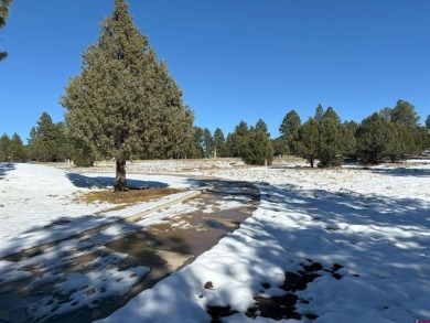 Don Bailey, Berkshire Hathaway HomeServices Colorado Properties on The Divide Ranch and Club in Colorado - for sale on GolfHomes.com, golf home, golf lot