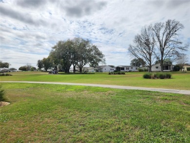 2 Bed  2 Bath  Fully Furnished , Fixtures with Golf Cart and on Lakes of Lady Lake Golf Course in Florida - for sale on GolfHomes.com, golf home, golf lot