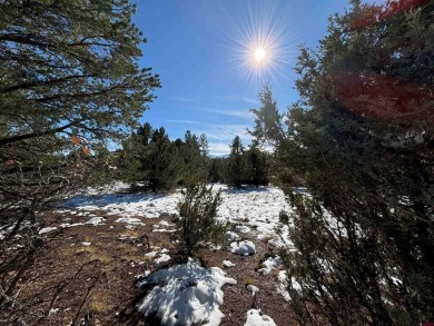 Don Bailey, Berkshire Hathaway HomeServices Colorado Properties on The Divide Ranch and Club in Colorado - for sale on GolfHomes.com, golf home, golf lot