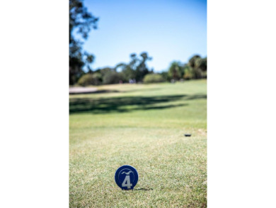 Welcome to your dream condo, located over the 9th tee of the on Cove Cay Country Club in Florida - for sale on GolfHomes.com, golf home, golf lot