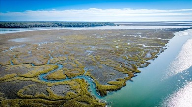 The ole saying, *Start with a blank slate!* 1043 Fisherman's on Sapelo Hammock Golf Club in Georgia - for sale on GolfHomes.com, golf home, golf lot
