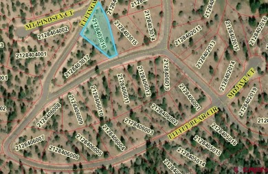 Connie Goodnight, Land Properties, LLC, C: , connie,  : The on Rio Grande Golf Club in Colorado - for sale on GolfHomes.com, golf home, golf lot