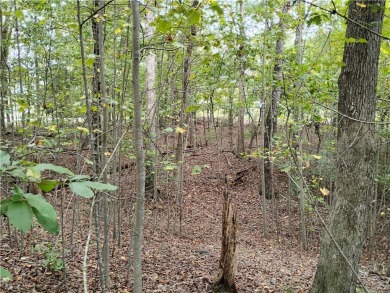 Nice building lot in Cickasaw Point. Property is located on the on The Trail At Chickasaw Pointe in South Carolina - for sale on GolfHomes.com, golf home, golf lot