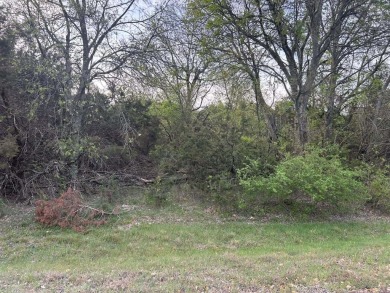 Known for its limestone bluffs, still-water coves & uncongested on White Bluff Resort - New Course in Texas - for sale on GolfHomes.com, golf home, golf lot
