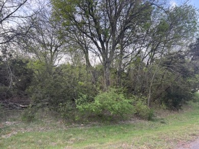 Known for its limestone bluffs, still-water coves & uncongested on White Bluff Resort - New Course in Texas - for sale on GolfHomes.com, golf home, golf lot
