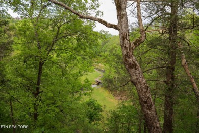 A Hidden Gem in Gatlinburg!

Get ready to discover a truly on Bent Creek Golf Course in Tennessee - for sale on GolfHomes.com, golf home, golf lot