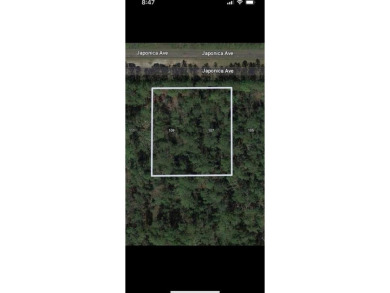 One or more photo(s) has been virtually staged. Are you looking on Indian Lake Estates Golf and Country Club in Florida - for sale on GolfHomes.com, golf home, golf lot
