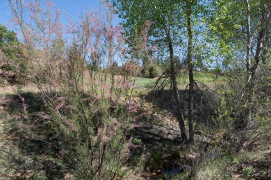 Build your dream home and enjoy the beautiful wooded on The Rim Golf Club in Arizona - for sale on GolfHomes.com, golf home, golf lot
