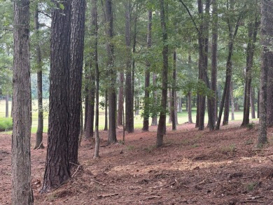 Prime location with beautiful golf views and gentle slope on Harbor Club Golf and Country Club in Georgia - for sale on GolfHomes.com, golf home, golf lot