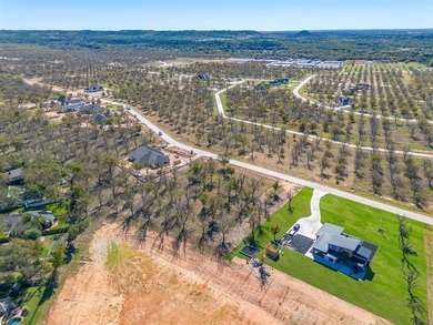 Welcome to The Landings East at Pecan Plantation, LOT 3865, 1148 on Pecan Plantation Country Club in Texas - for sale on GolfHomes.com, golf home, golf lot