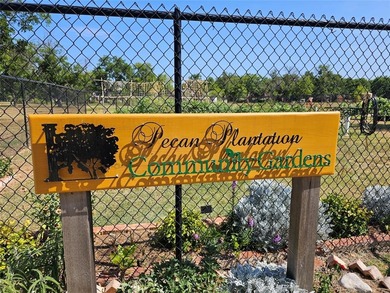 Welcome to The Landings East at Pecan Plantation, LOT 3865, 1148 on Pecan Plantation Country Club in Texas - for sale on GolfHomes.com, golf home, golf lot