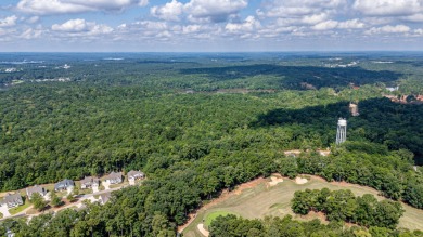 Rare 1.5-acre level golf lot in Harbor Club--partially wooded on Harbor Club Golf and Country Club in Georgia - for sale on GolfHomes.com, golf home, golf lot
