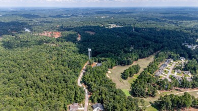 Rare 1.5-acre level golf lot in Harbor Club--partially wooded on Harbor Club Golf and Country Club in Georgia - for sale on GolfHomes.com, golf home, golf lot