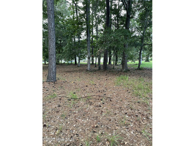 WANT FREE PARKING AT SUNSET BEACH? BUY THIS .45 ACRE LOT AND on Sea Trail Golf Resort in North Carolina - for sale on GolfHomes.com, golf home, golf lot