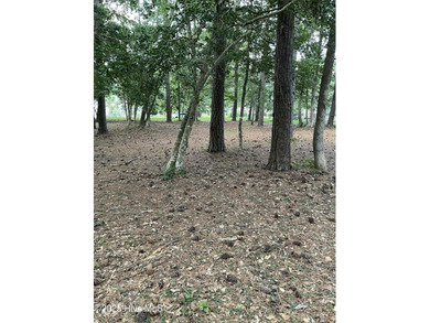 WANT FREE PARKING AT SUNSET BEACH? BUY THIS .45 ACRE LOT AND on Sea Trail Golf Resort in North Carolina - for sale on GolfHomes.com, golf home, golf lot