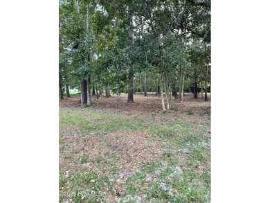 WANT FREE PARKING AT SUNSET BEACH? BUY THIS .45 ACRE LOT AND on Sea Trail Golf Resort in North Carolina - for sale on GolfHomes.com, golf home, golf lot