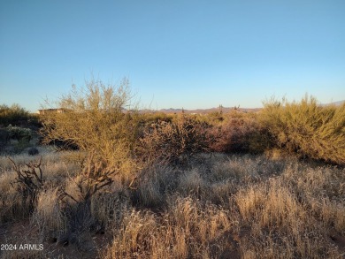 Wonderful 1 acre lot on a shared well. Elevated lot, no flood on Vista Verde Golf Course in Arizona - for sale on GolfHomes.com, golf home, golf lot
