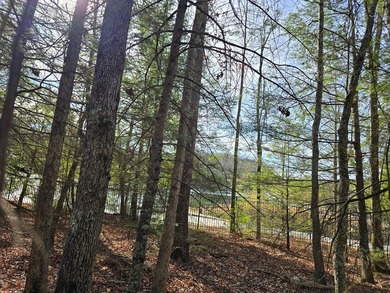 Welcome to lakeside living in Glade Springs. This .32-acre lot on Glade Springs Resort Golf Course in West Virginia - for sale on GolfHomes.com, golf home, golf lot