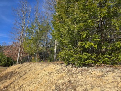 Welcome to lakeside living in Glade Springs. This .32-acre lot on Glade Springs Resort Golf Course in West Virginia - for sale on GolfHomes.com, golf home, golf lot