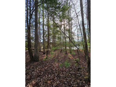 Welcome to lakeside living in Glade Springs. This .32-acre lot on Glade Springs Resort Golf Course in West Virginia - for sale on GolfHomes.com, golf home, golf lot