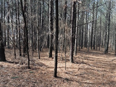 Welcome to JF-312, at Crockett Point, in The Farms of Jasper on Sequatchie Valley Golf and Country Club in Tennessee - for sale on GolfHomes.com, golf home, golf lot