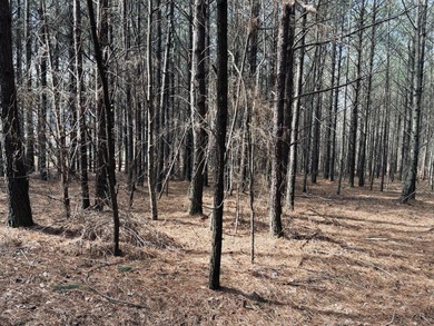 Welcome to JF-312, at Crockett Point, in The Farms of Jasper on Sequatchie Valley Golf and Country Club in Tennessee - for sale on GolfHomes.com, golf home, golf lot