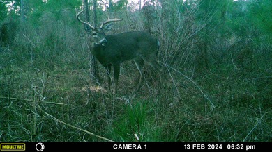 7.2 Acre lot adjacent to the Golf Club of Quincy that backs up on The Golf Club of Quincy in Florida - for sale on GolfHomes.com, golf home, golf lot