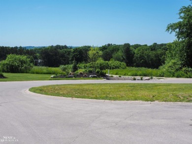 Are you looking to build your dream home with views of Grand on Lochen Heath Golf Course in Michigan - for sale on GolfHomes.com, golf home, golf lot