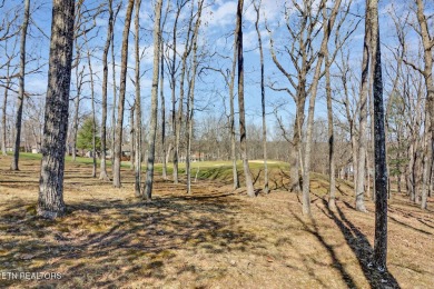 UNIQUE LOCATION!! Mountain views, a panoramic view of the 10th on Druid Hills Golf Club in Tennessee - for sale on GolfHomes.com, golf home, golf lot