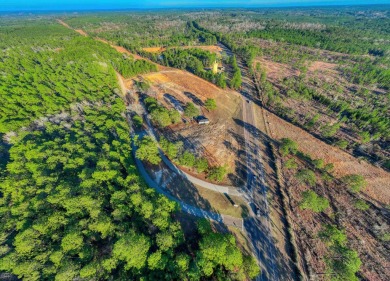 3.44 Acres! This unique investment opportunity is extremely on Rayburn Country Club in Texas - for sale on GolfHomes.com, golf home, golf lot