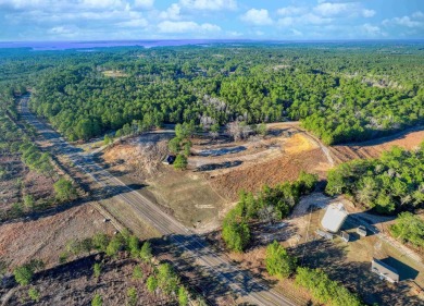 3.44 Acres! This unique investment opportunity is extremely on Rayburn Country Club in Texas - for sale on GolfHomes.com, golf home, golf lot