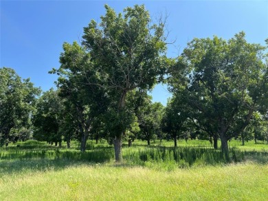 Just under 1.5 acres, this lot is a premium location to build on Nutcracker Golf Club in Texas - for sale on GolfHomes.com, golf home, golf lot
