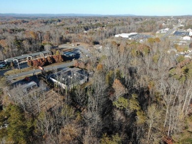 Development property in the heart of Pilot Mountain, 19 Acres on Pilot Knob Park Country Club in North Carolina - for sale on GolfHomes.com, golf home, golf lot