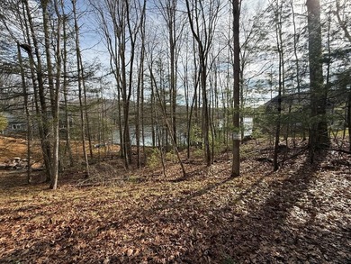 Beautiful lake lot with a wonderful view looking down Chatham on Glade Springs Resort Golf Course in West Virginia - for sale on GolfHomes.com, golf home, golf lot