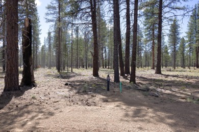 Special incentive: Developer paid HOA dues until 2027! Are you on Sunriver Caldera Springs Golf Course in Oregon - for sale on GolfHomes.com, golf home, golf lot