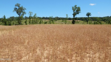 Grenada Lake Area 4.026 Ac. Located 1 mile from The Dogwoods on The Dogwoods Golf Course At Hugh White State Park in Mississippi - for sale on GolfHomes.com, golf home, golf lot