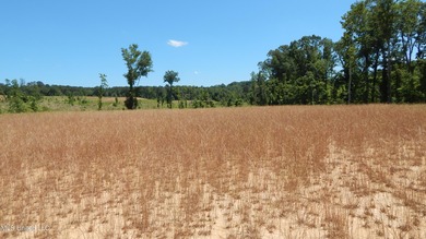 Grenada Lake Area 4.026 Ac. Located 1 mile from The Dogwoods on The Dogwoods Golf Course At Hugh White State Park in Mississippi - for sale on GolfHomes.com, golf home, golf lot