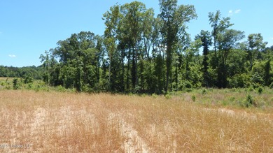 Grenada Lake Area 4.026 Ac. Located 1 mile from The Dogwoods on The Dogwoods Golf Course At Hugh White State Park in Mississippi - for sale on GolfHomes.com, golf home, golf lot