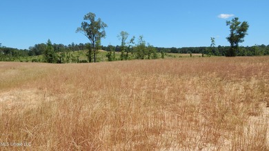 Grenada Lake Area 4.026 Ac. Located 1 mile from The Dogwoods on The Dogwoods Golf Course At Hugh White State Park in Mississippi - for sale on GolfHomes.com, golf home, golf lot